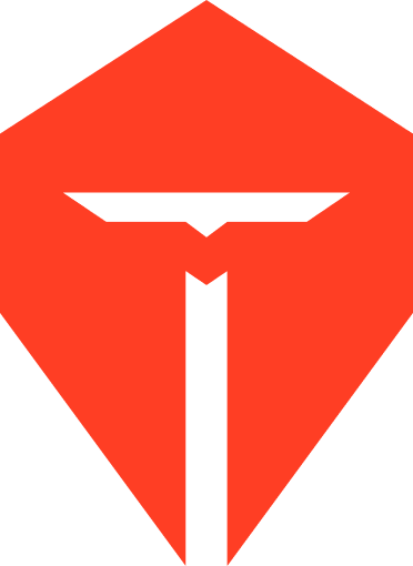 TES 队标