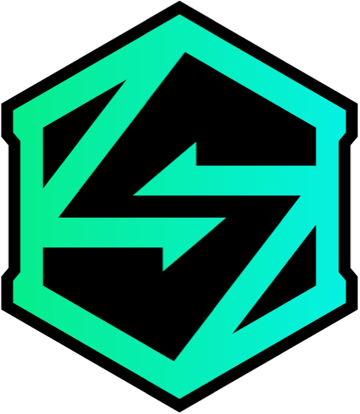 VK Gaming 队标